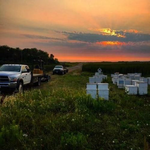 Virtual Class - The Business of Beekeeping