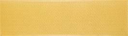 Shallow Yellow Foundation Case Pack of Ten