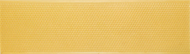 Shallow Yellow Foundation Case Pack of Ten