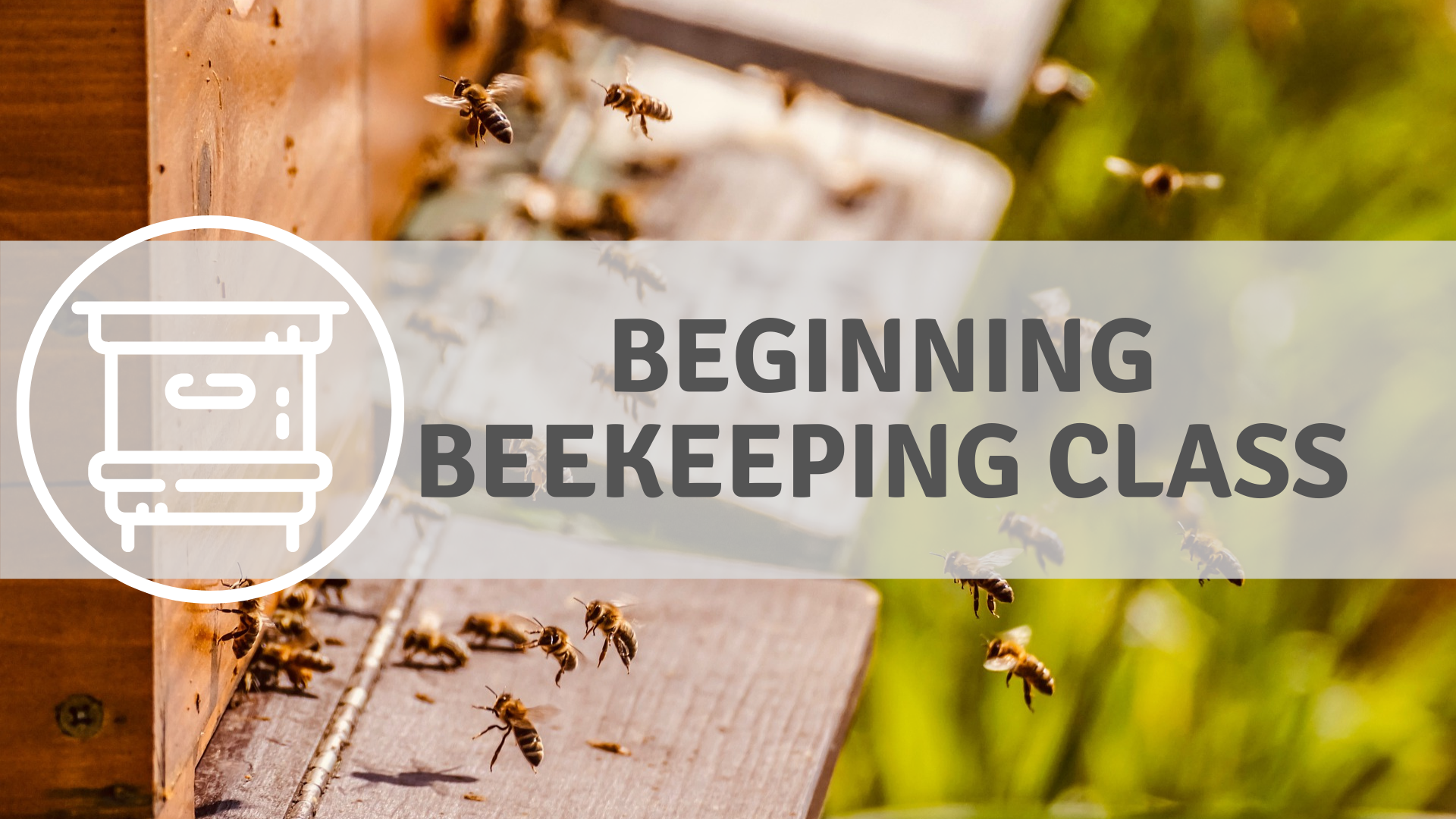 Virtual Class - Beginning Beekeeping