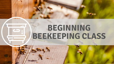 beekeeping class