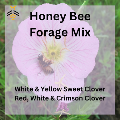 1 lb honeybee forage seed mix.