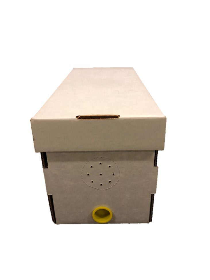 Cardboard Nuc Boxes with Cap Plug
