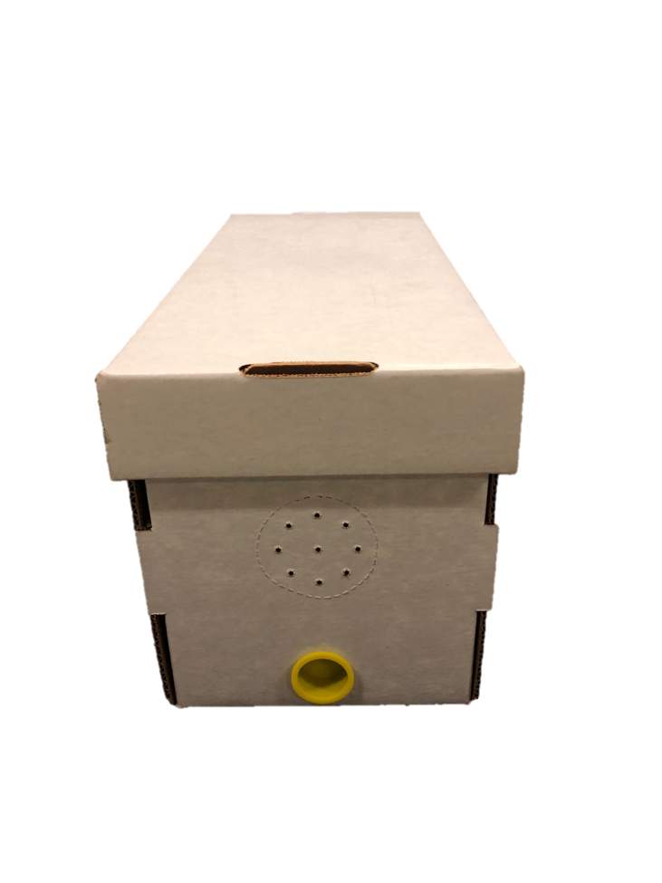 Cardboard Nuc Boxes with Cap Plug