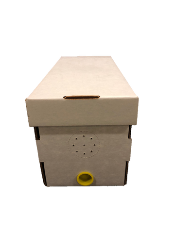 Cardboard Nuc Boxes  (Plug sold separately) - IN STORE P/U ONLY