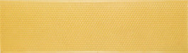 shallow yellow foundation case of 10