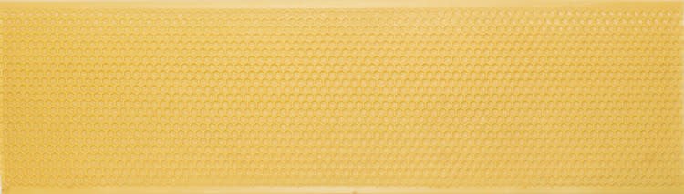 shallow yellow foundation case of 10