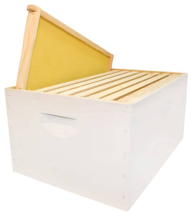 White hive combo with frames and foundation, 8 frame deep assembled